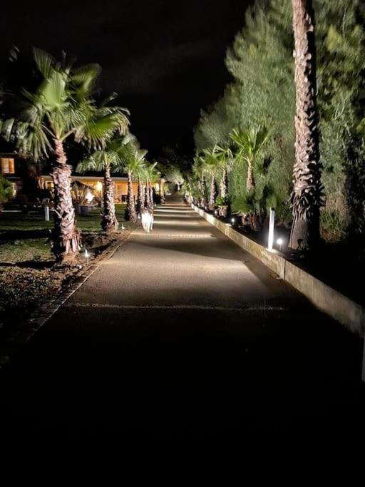 Grande Villa St-Tropez Area Avec Piscine Chauffee Gassin Εξωτερικό φωτογραφία